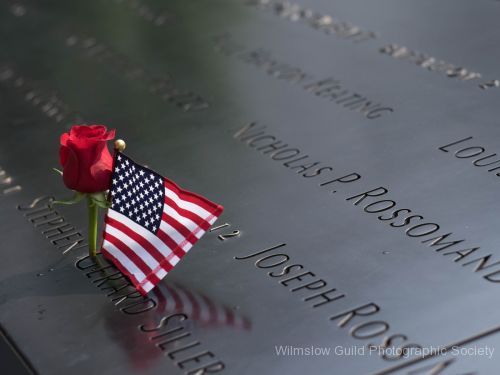 Dave Griffiths_2_911 Memorial Birthday Rose