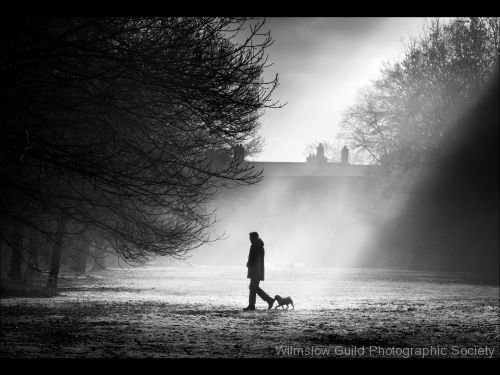 David Royle_2_Walking the Dog