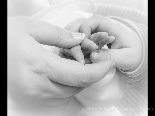 David Royle_3_New Life