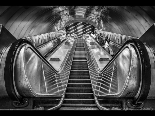 David Royle_5_The way is up
