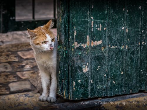 Keith Pritchard_6_The lookout