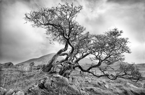 Michael Hilton_2_Against the Wind