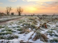 Michael Hilton_1_A Winters Morning